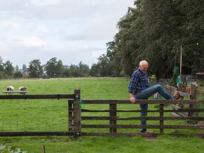 $image->content('alt')